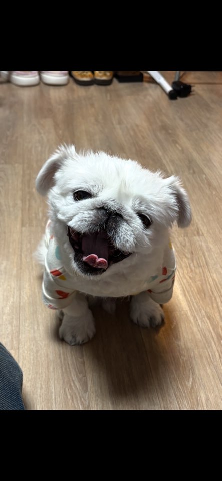 HAN 프로필 사진